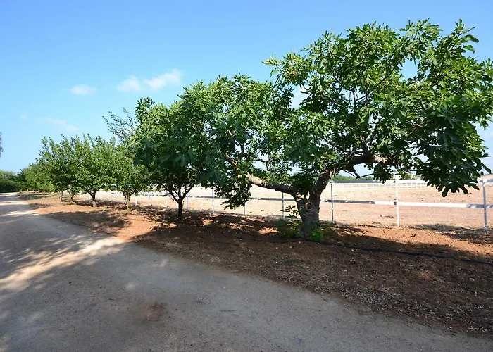 Masseria La Baronessa توليي