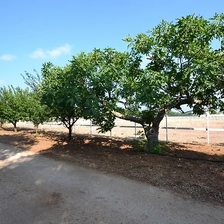 Masseria La Baronessa Tuglie