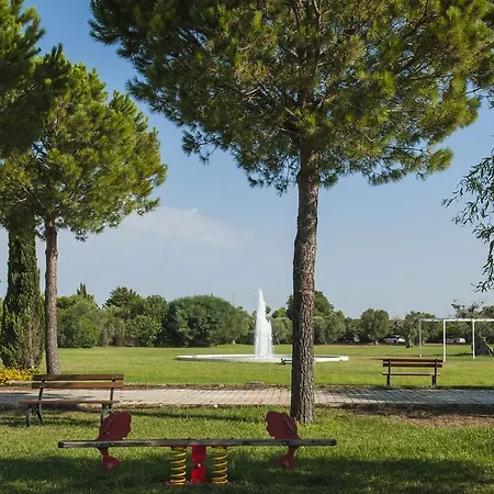 Amaregold Tenuta La Baronessa Tuglie